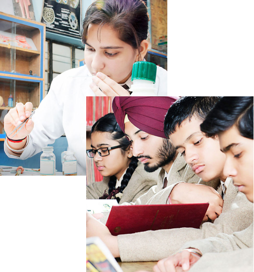 MIRA EDUCATIONAL & WELFARE TRUST 